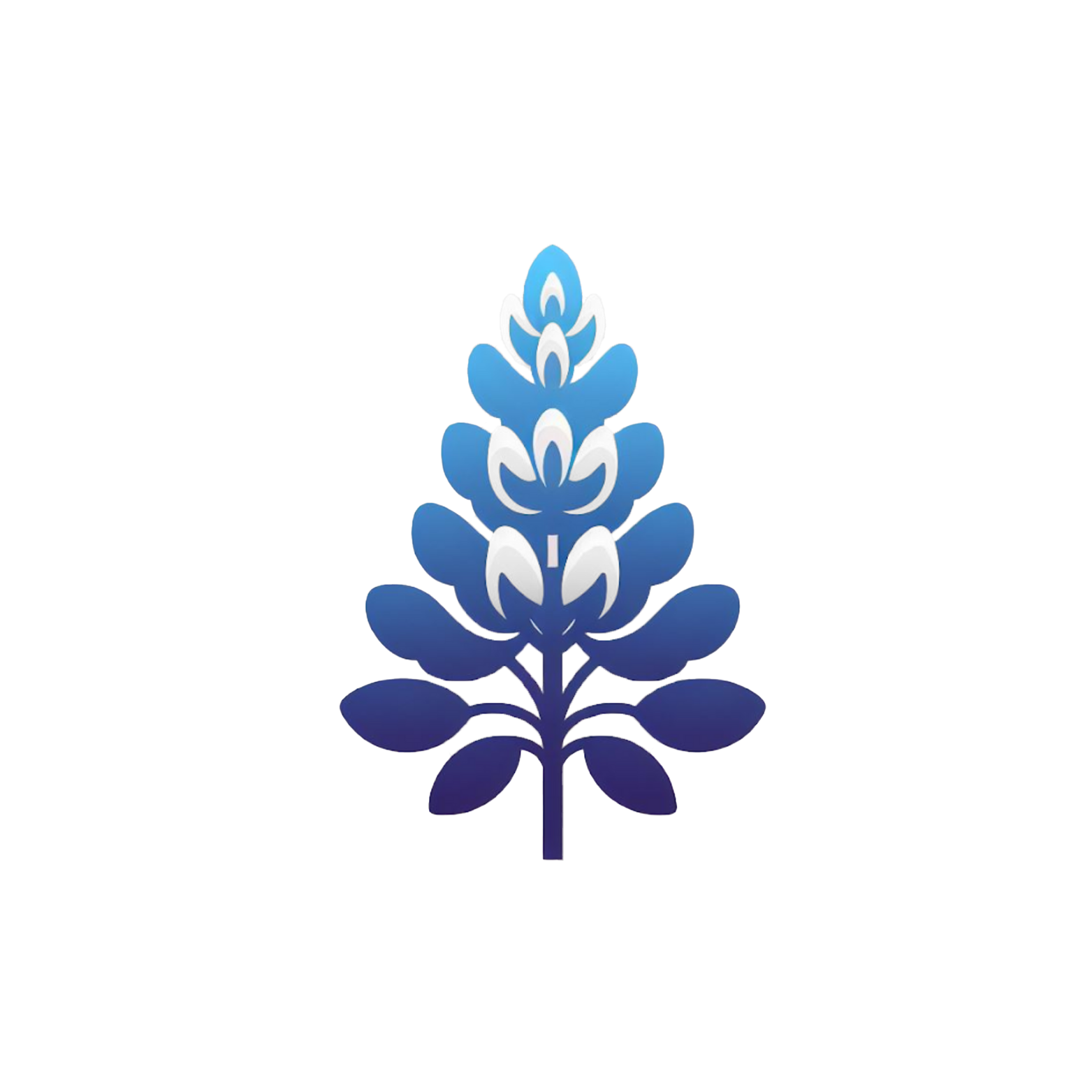 Bluebonnet Web Works white logo