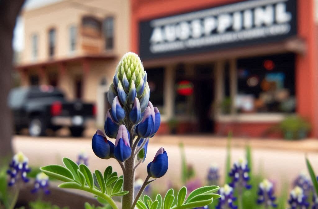 Empowering Local Business Growth: How Bluebonnet Web Works Supports La Grange and Surrounding Communities